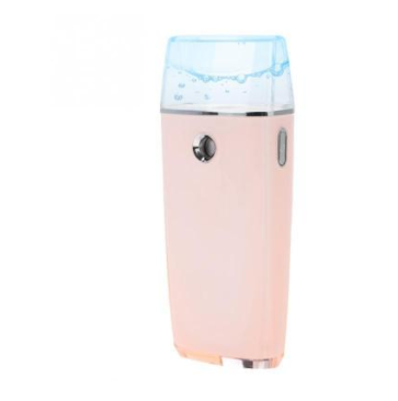 Electric Mini Facial Steamer