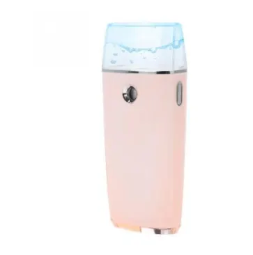 Electric Mini Facial Steamer