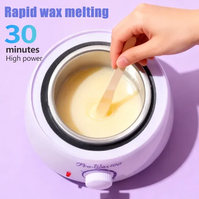Electric Wax Warmer 3