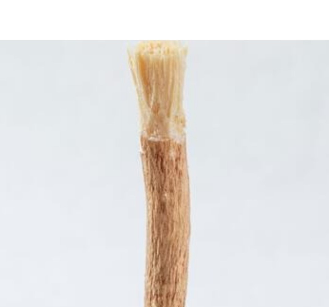 Organic Miswak Chewing Stick Wooden Toothbrush 2