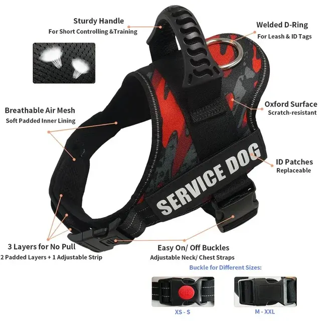 Hundegeschirr 2