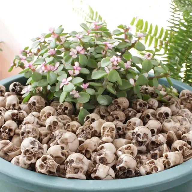 Mini Skull Figure 2