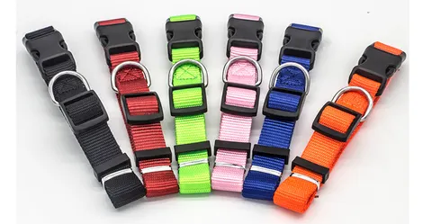 Haustierhalsband