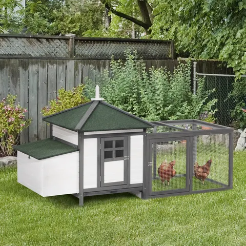 Chicken Coop
