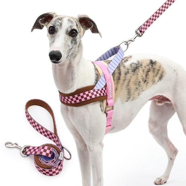 Hundegeschirr Komfort-Set
